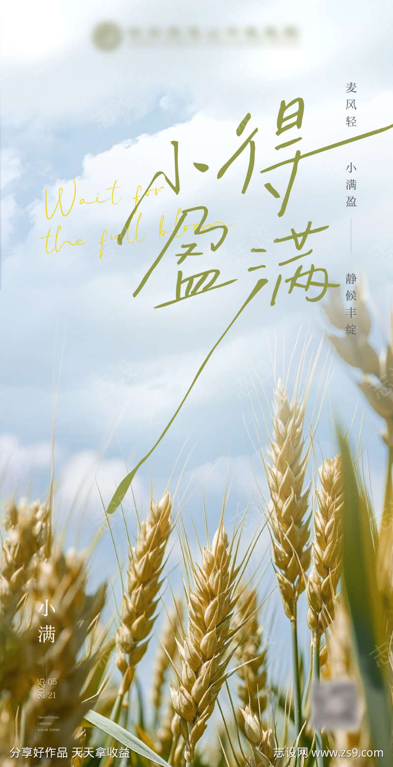 小满节气海报