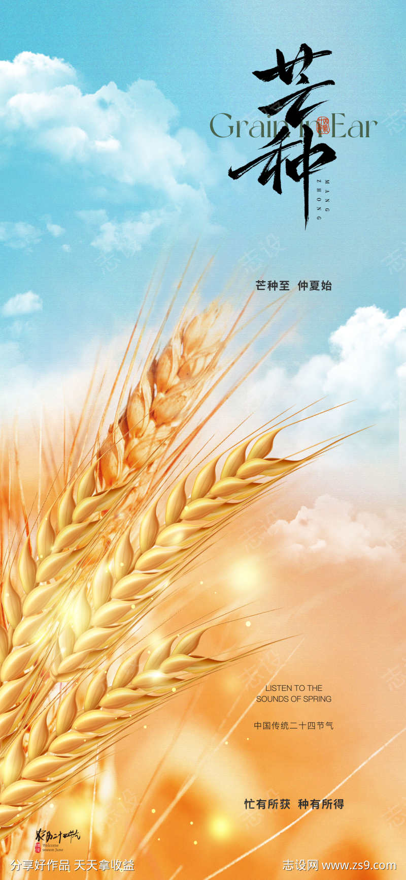 地产芒种节气海报