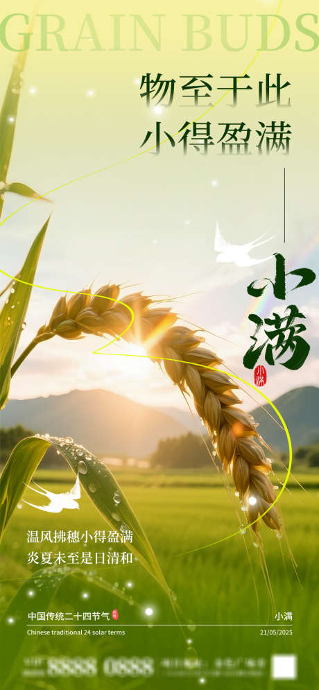 小满节气海报_源文件下载_AI格式_1080X2337像素-二十四节气,海报,创意-作品编号:2025051411508039-志设-zs9.com