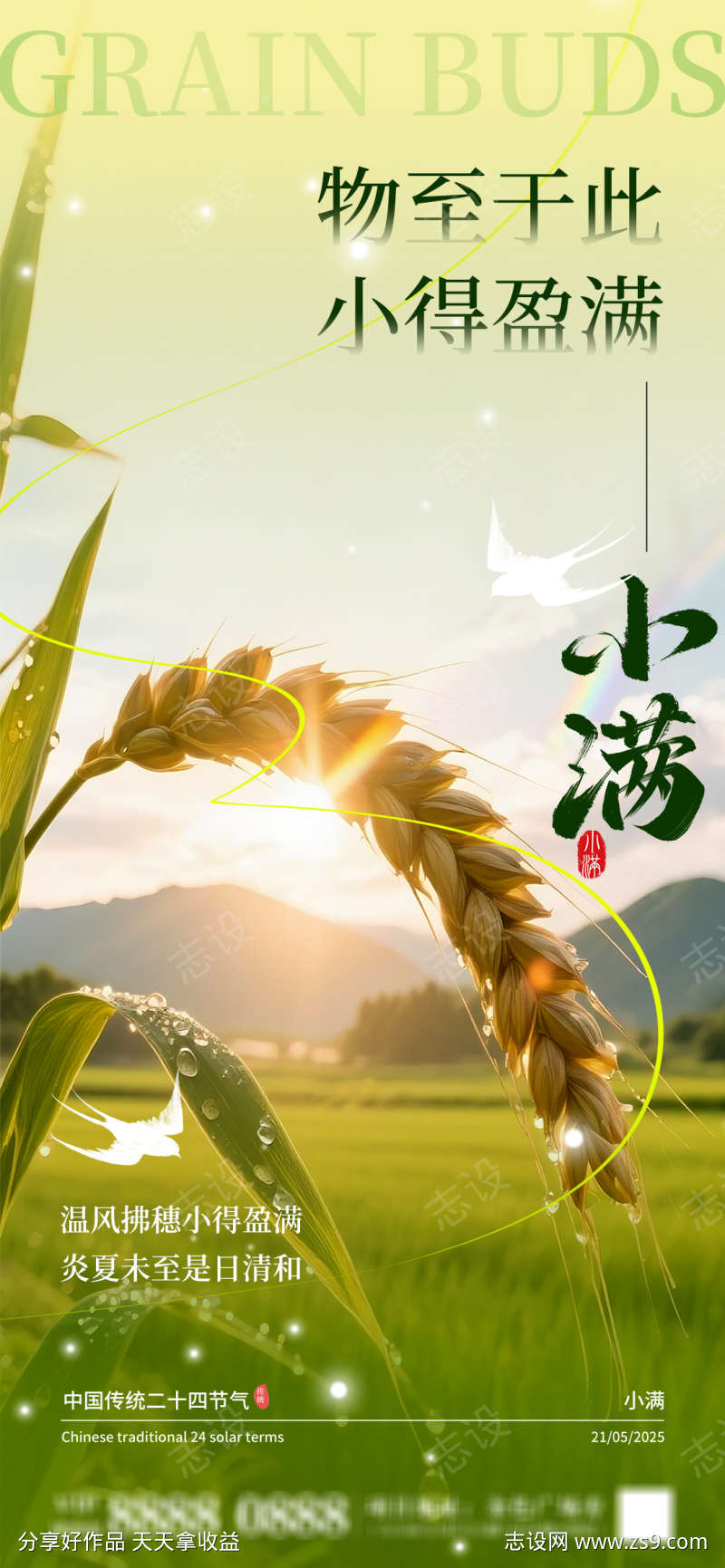 小满节气海报