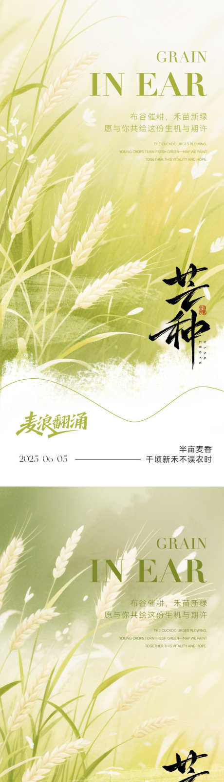 芒种节气海报_源文件下载_PSD格式_1181X5112像素-质感,简约,耕地-作品编号:2025051414128342-志设-zs9.com