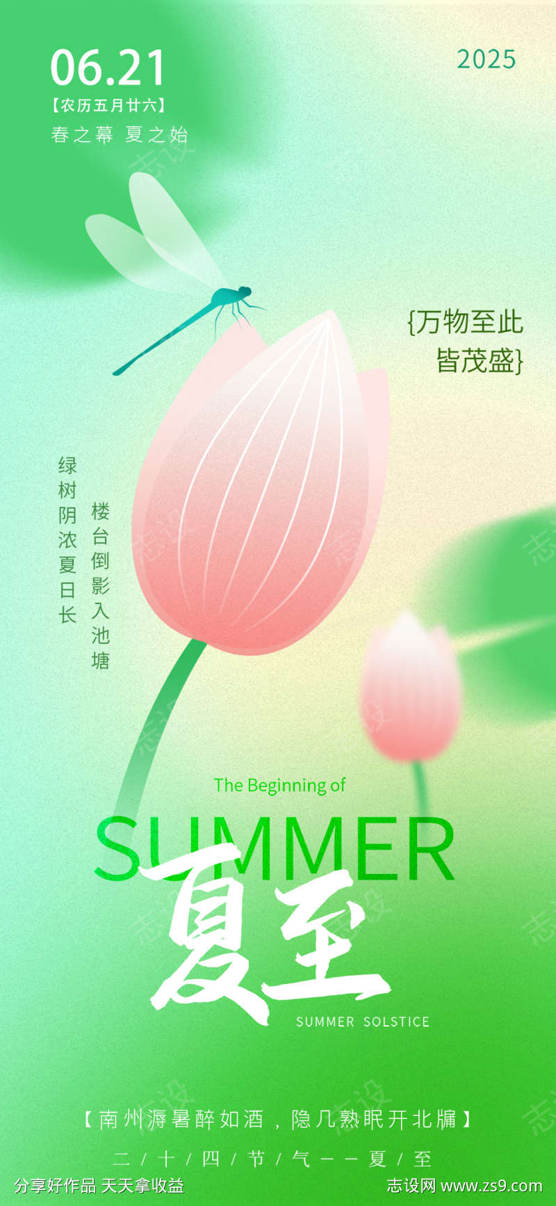 简约意境荷花渐变夏至节气海报