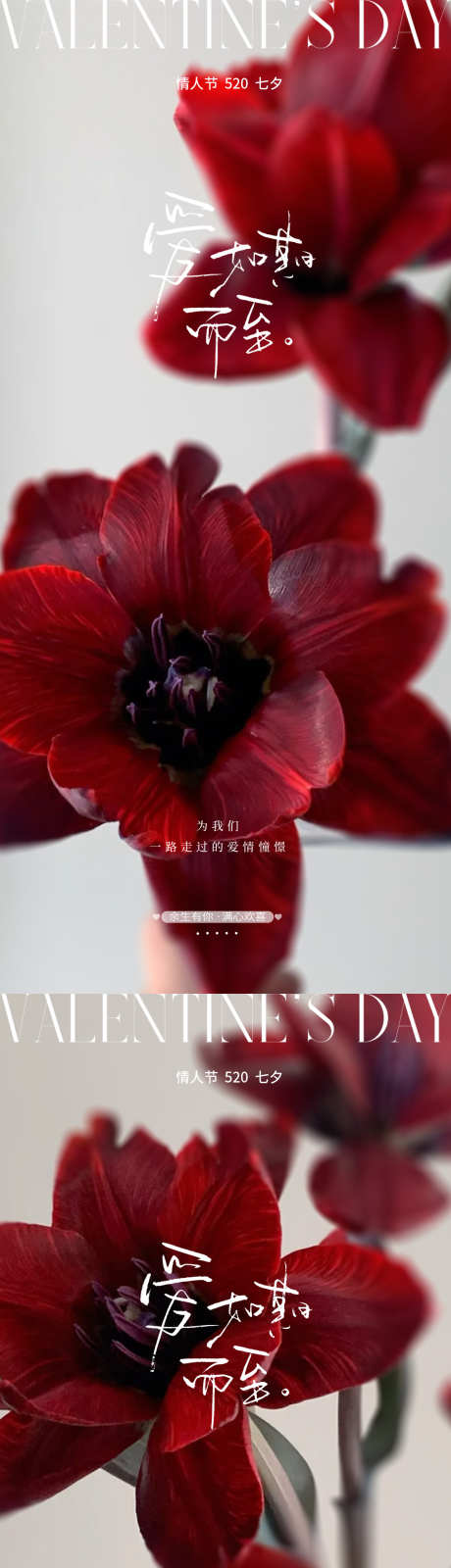 七夕情人节海报设计_源文件下载_PSD格式_1255X5532像素-爱情,520,简约-作品编号:2025071510555074-志设-zs9.com