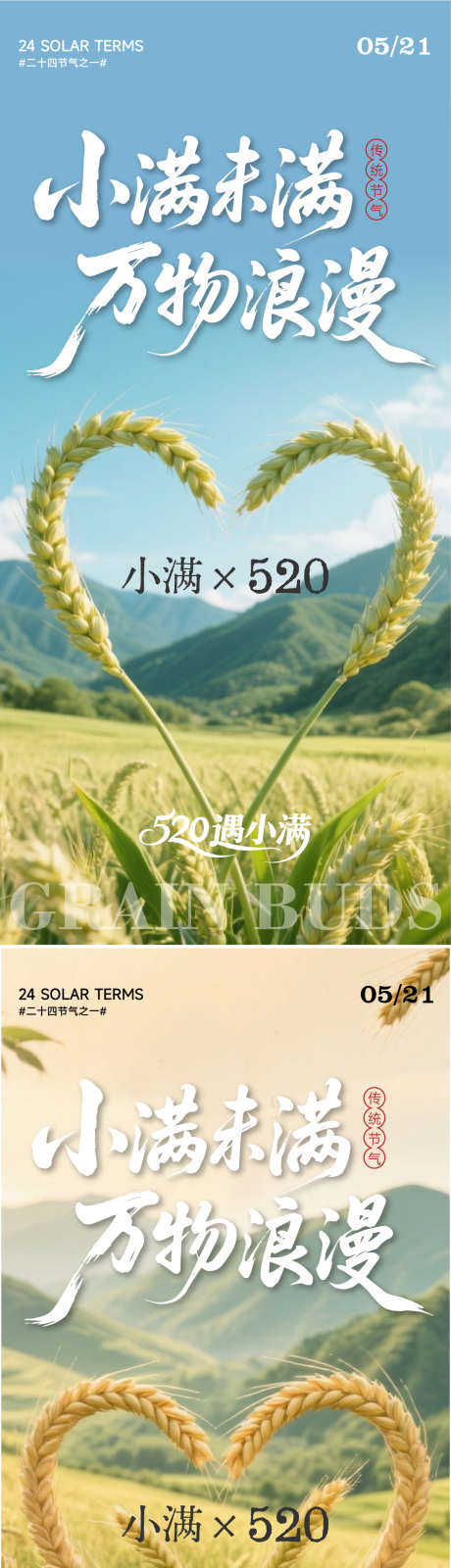 小满节气海报_源文件下载_AI格式_1075X4518像素-宣传,520,节气-作品编号:2025051416441471-志设-zs9.com