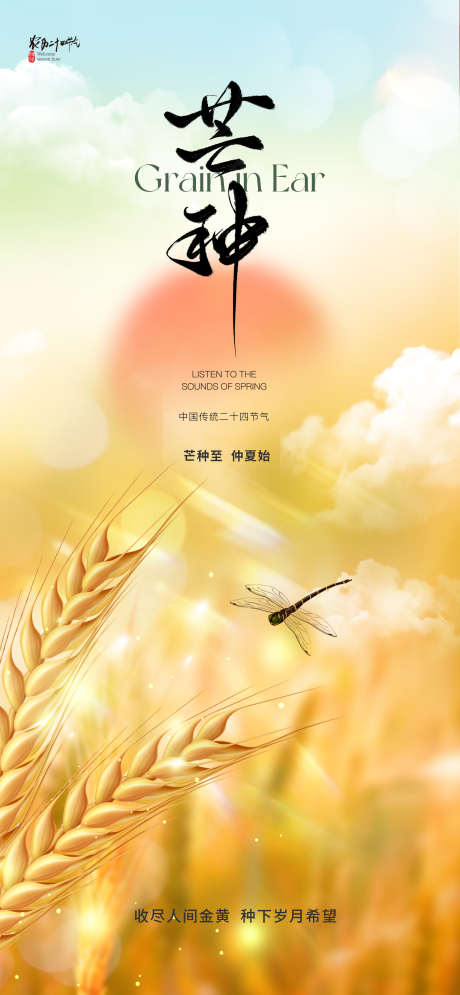 芒种节气海报_源文件下载_PSD格式_1772X3834像素-质感,云彩,国风-作品编号:2025051509178454-志设-zs9.com
