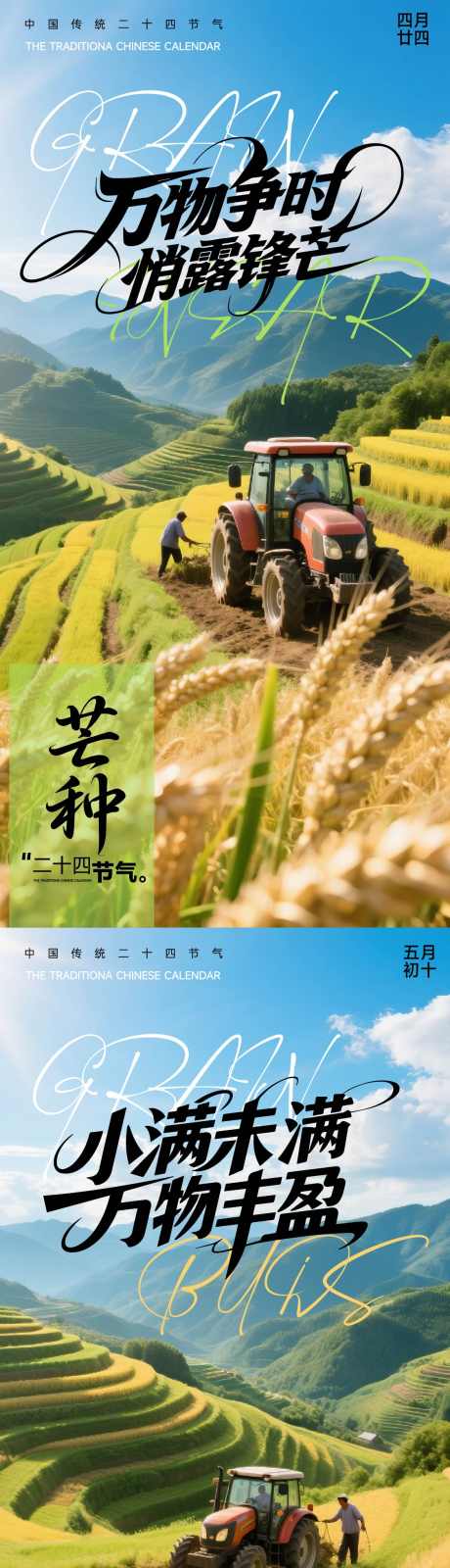 小满芒种节气海报_源文件下载_AI格式_1125X4630像素-小满,系列,创意-作品编号:2025051509163090-志设-zs9.com