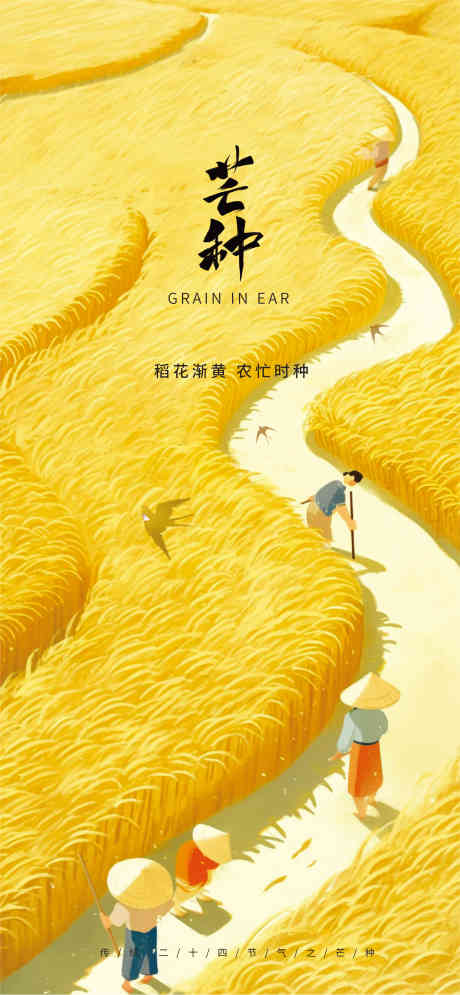 二十四节气小满_源文件下载_CDR格式_4387X9492像素-二十四节气,绿色,日历-作品编号:2025051509472893-志设-zs9.com