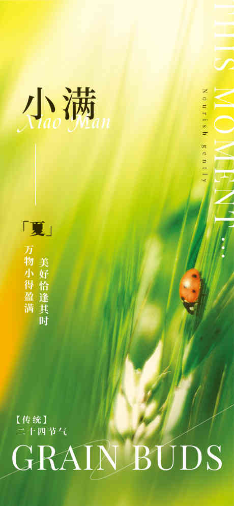 小满24节气_源文件下载_CDR格式_4386X9490像素-节气,夏天,夏日-作品编号:2025051510001239-志设-zs9.com