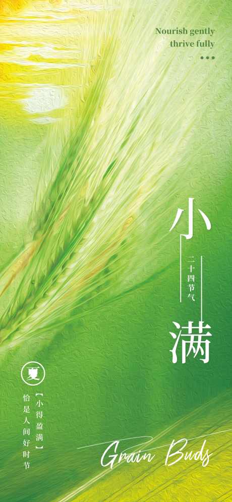 小满24节气_源文件下载_CDR格式_4385X9488像素-节气,夏天,夏日-作品编号:2025051510017574-志设-zs9.com