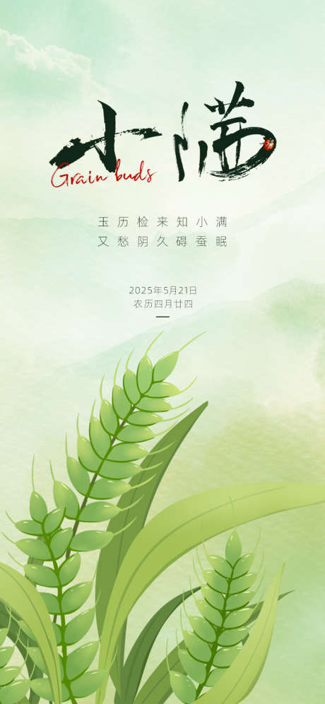 小满节气海报_源文件下载_PSD格式_750X1624像素-夏至,田地,水稻-作品编号:2025051411395709-志设-zs9.com