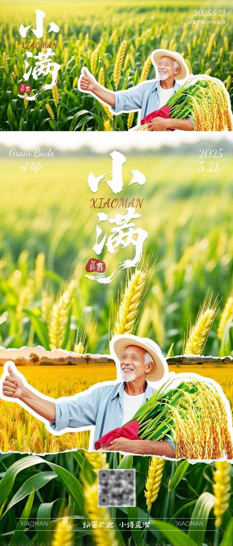小满节气海报_源文件下载_PSD格式_3200X7491像素-农民,节气,小满-作品编号:2025051509306167-志设-zs9.com