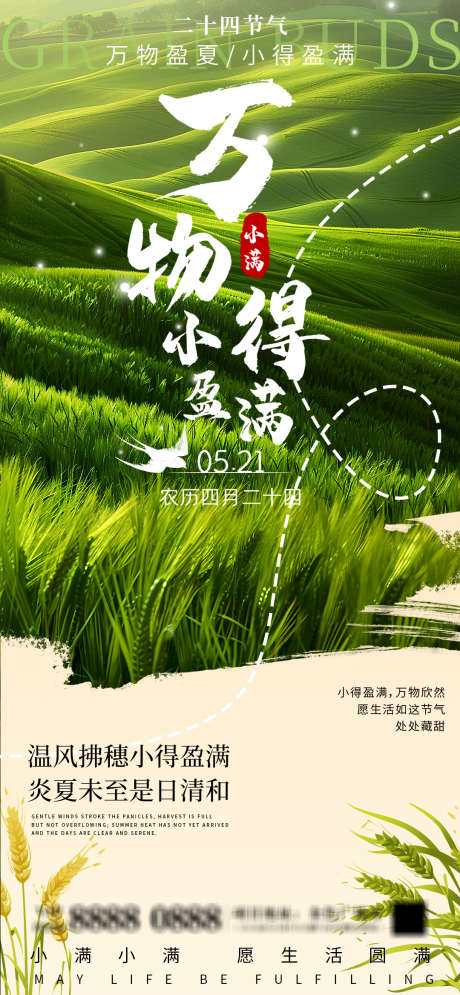 小满节气海报