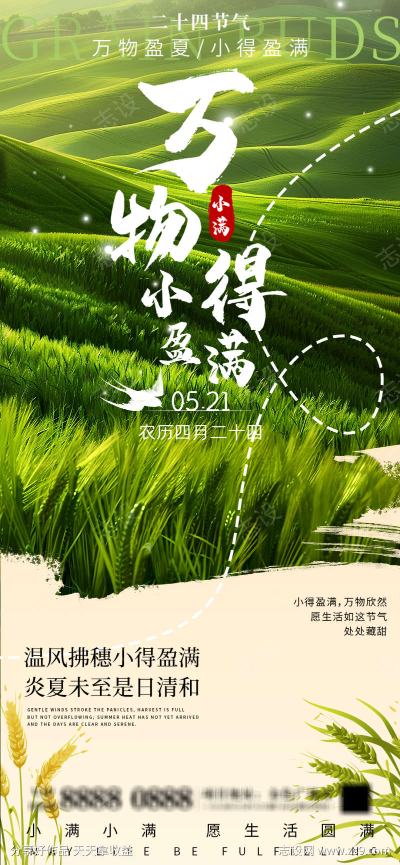 小满节气海报