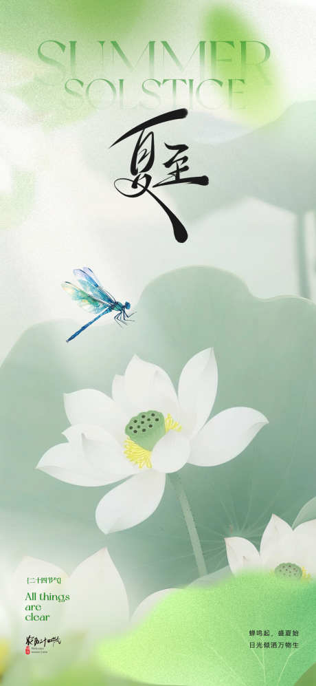 夏至节气海报_源文件下载_PSD格式_1772X3839像素-清新,唯美,蜻蜓-作品编号:2025051515321370-志设-zs9.com