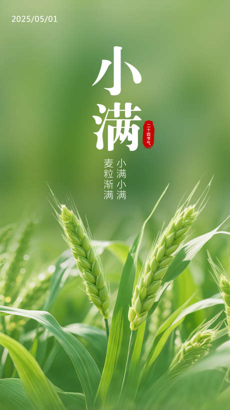 小满节气海报