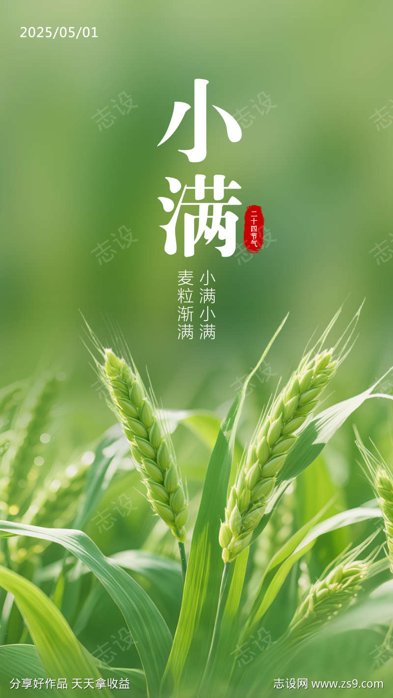 小满节气海报