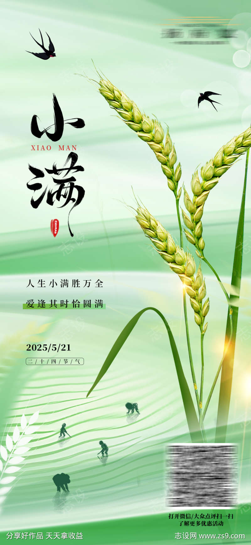 小满节气海报
