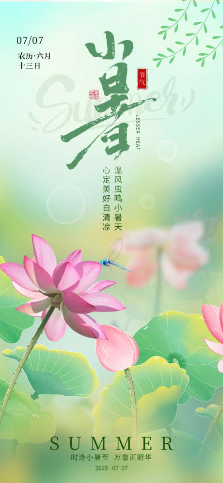 二十四节气小暑荷花海报