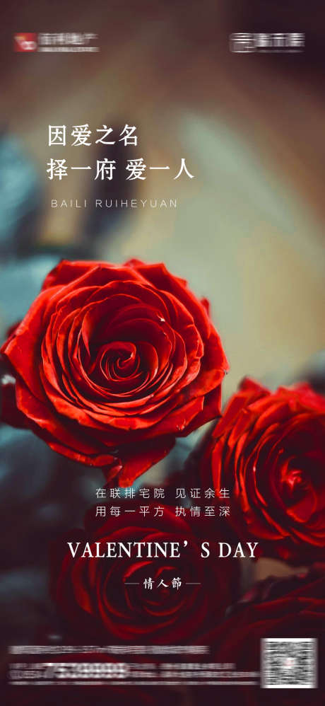 情人节海报_源文件下载_PSD格式_1080X2344像素-七夕,情人节,节假日-作品编号:2025052013404173-志设-zs9.com