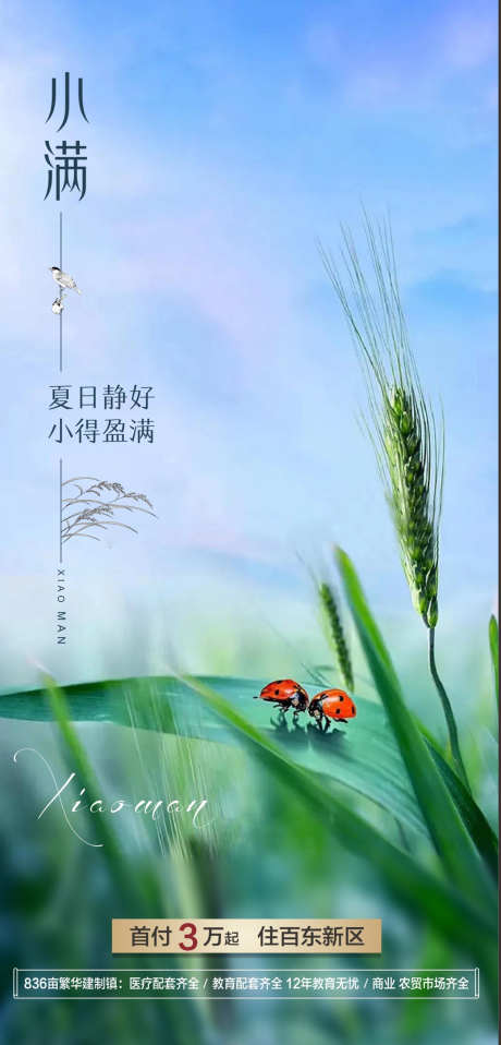 小满二十四节气_源文件下载_CDR格式_1260X2625像素-节气,房地产,夏天-作品编号:2025052013486947-志设-zs9.com