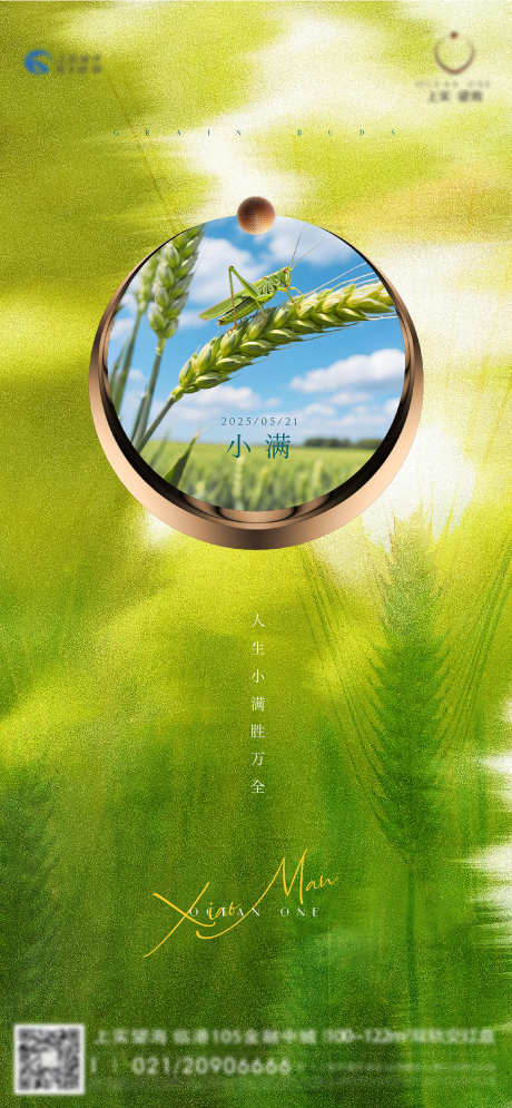小满节气刷屏_源文件下载_AI,PSD格式_1391X3009像素-蚂蚱,麦穗,小满-作品编号:2025051616017138-志设-zs9.com