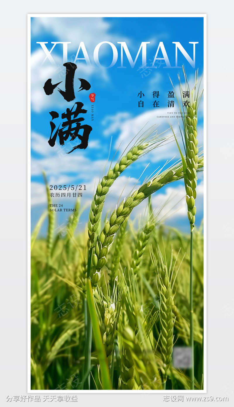 中国传统二十四节气小满海报