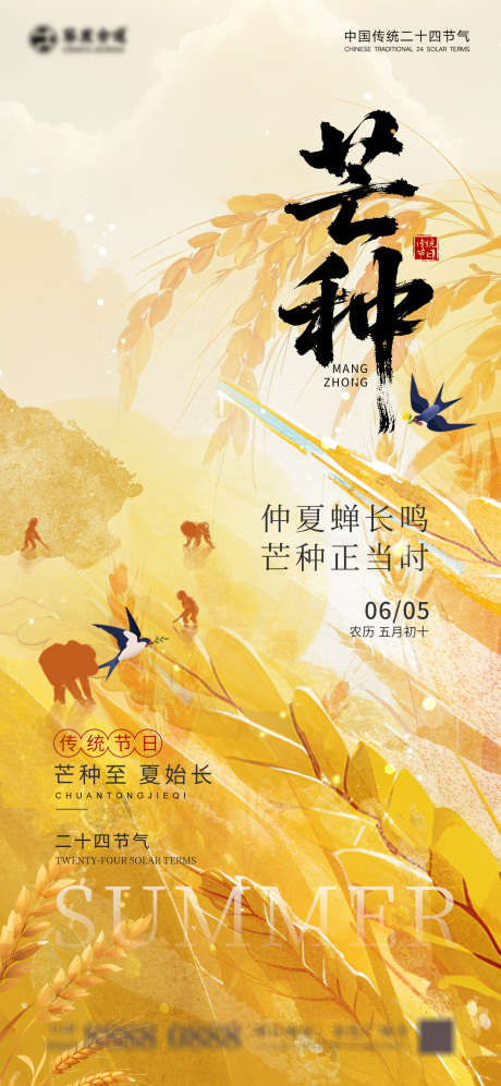 芒种节气海报_源文件下载_PSD格式_1242X2688像素-二十四节气,海报,创意-作品编号:2025051811115769-志设-zs9.com