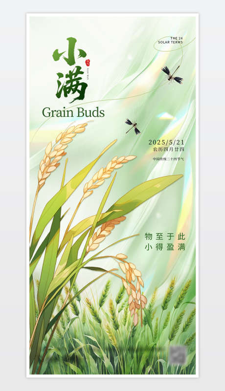 中国传统二十四节气小满海报_源文件下载_PSD格式_1181X2559像素-传统,二十四节气,小满-作品编号:2025051808594705-志设-zs9.com