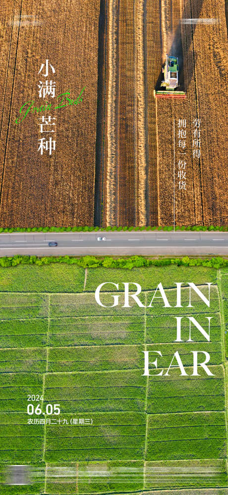 小满芒种节气海报_源文件下载_PSD格式_1125X2436像素-麦子,小麦,丰收-作品编号:2025051811283158-志设-zs9.com