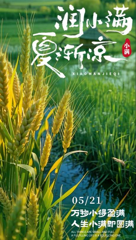 小满节气海报_源文件下载_PSD格式_1335X2362像素-麦穗,海报,小满-作品编号:2025052008478911-志设-zs9.com