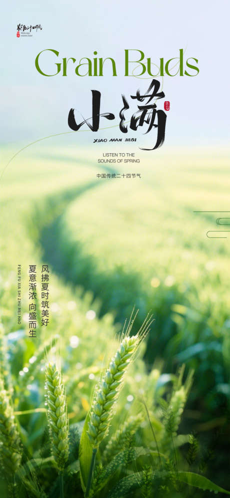 小满节气海报_源文件下载_PSD格式_1080X2333像素-稻穗,丰收,夏天-作品编号:2025052011411589-志设-zs9.com
