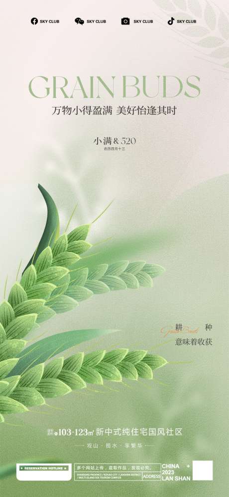 小满海报系列_源文件下载_CDR格式_1170X2532像素-田野,节日,公历-作品编号:2025052016134955-志设-zs9.com
