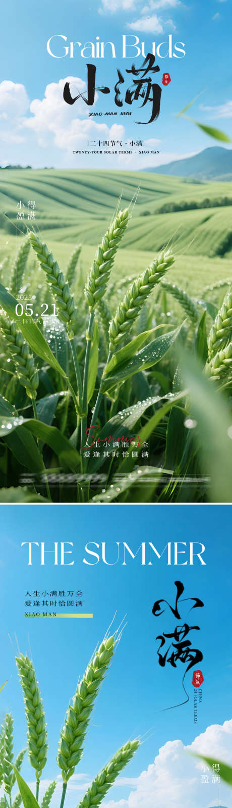 小满节气海报_源文件下载_PSD格式_1080X4683像素-稻谷,小满海报,小满节气-作品编号:2025052017194142-志设-zs9.com
