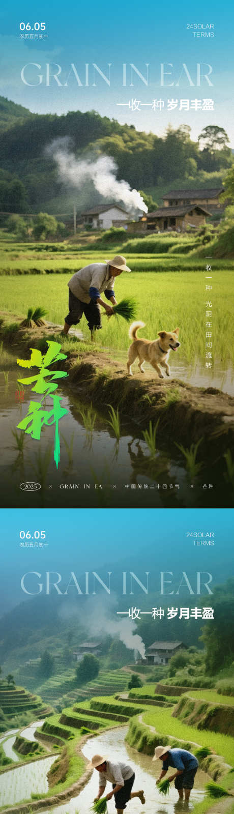 芒种节气海报_源文件下载_PSD格式_1099X4775像素-田园,农民,插秧-作品编号:2025052113048674-志设-zs9.com