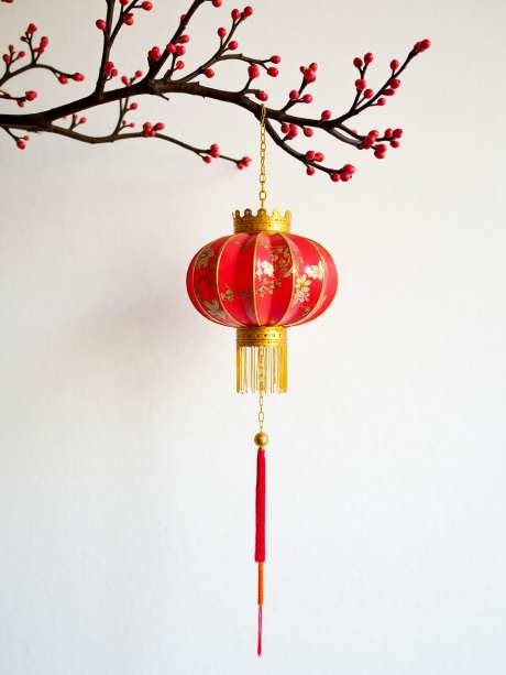 金色中国灯笼_AI图片下载_euler采样_960X1280像素-红色,金链子,树枝-作品编号:2025052113418070-志设-zs9.com