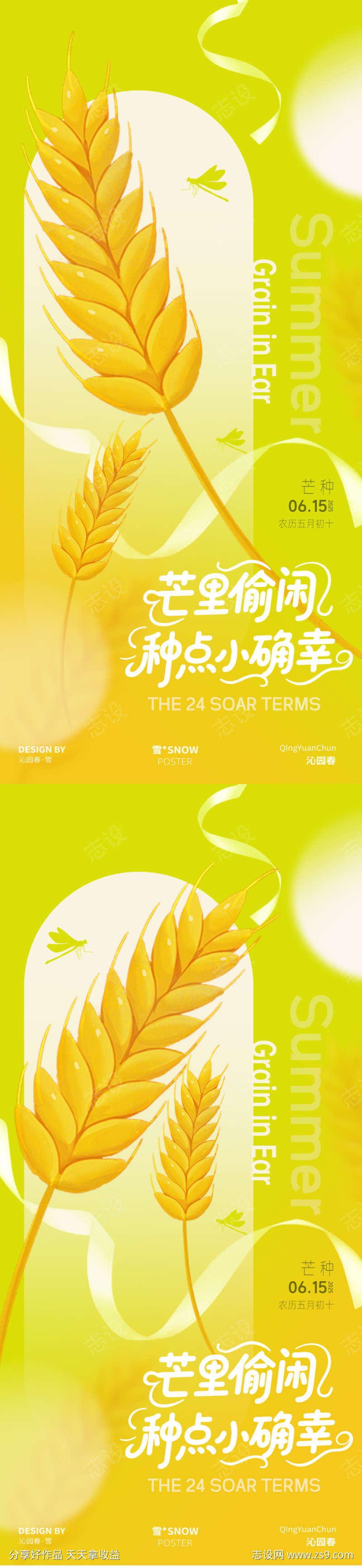 芒种节气简约海报