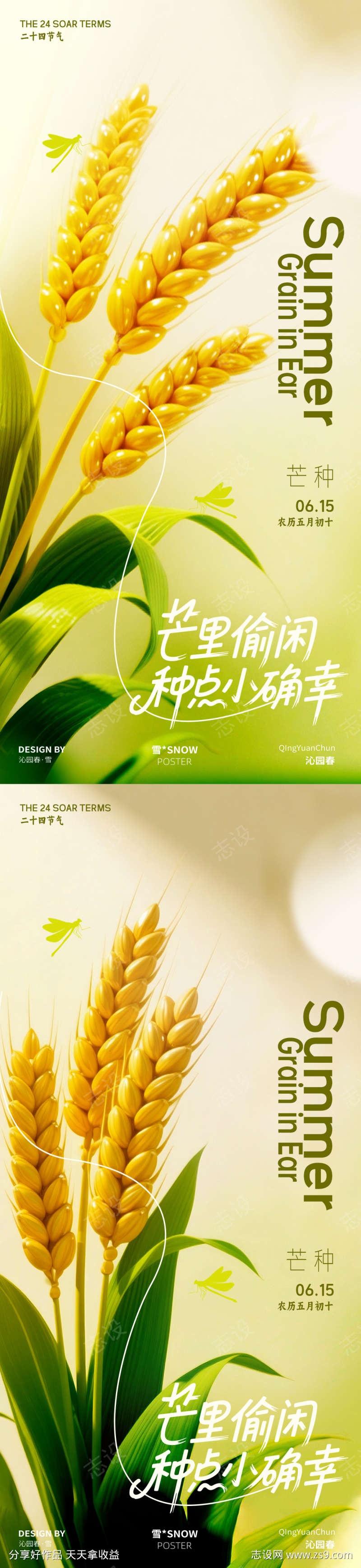 芒种海报清新设计