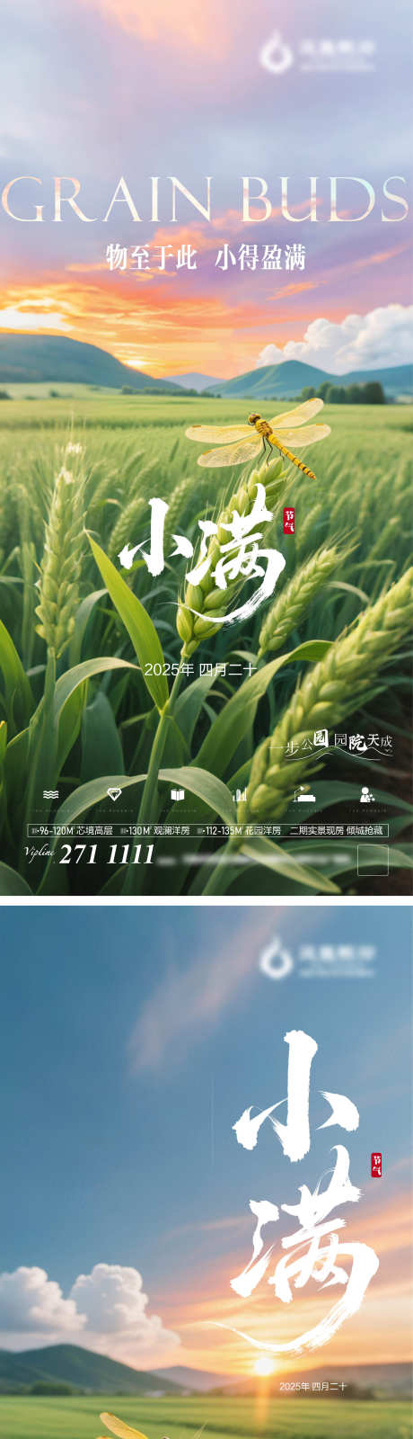 24节气小满ai可商用_源文件下载_AI格式_2344X10205像素-麦芒,谷雨,麦浪-作品编号:2025052213286308-志设-zs9.com