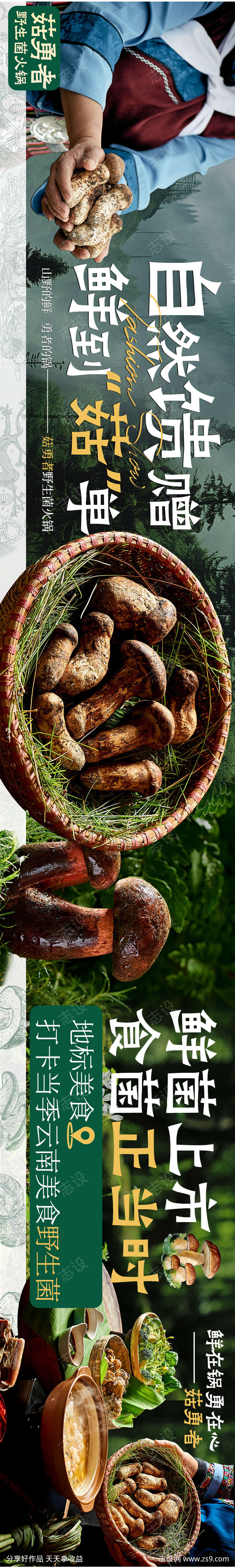 大众点评野生菌设计