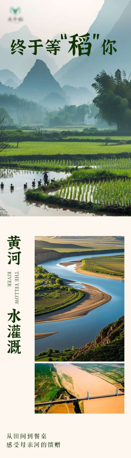 稻米推文公众号_源文件下载_PSD格式_790X8020像素-黄河,灌溉,盐碱地-作品编号:2025052211153981-设计素材-www.shejisc.cn