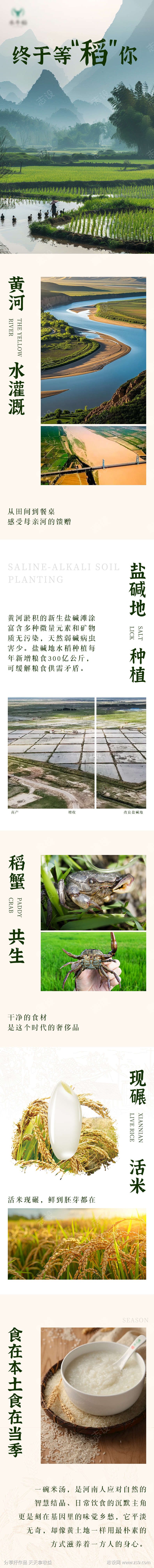 稻米推文公众号