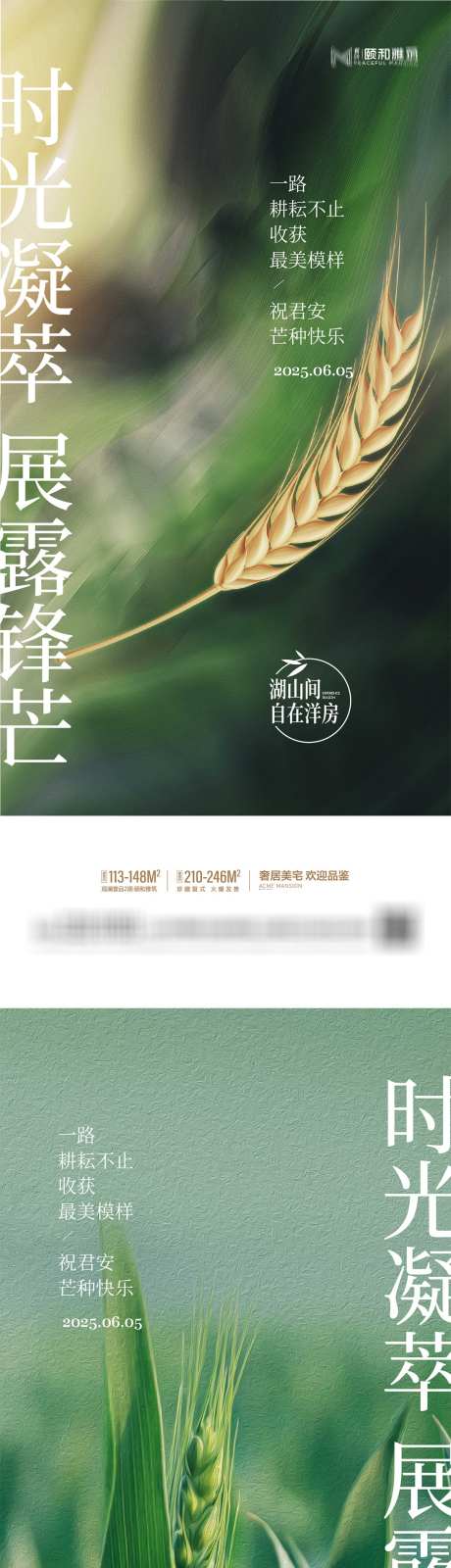 芒种24节气节日海报_源文件下载_AI格式_1094X4822像素-二十四,节日,节气-作品编号:2025052314509729-志设-zs9.com