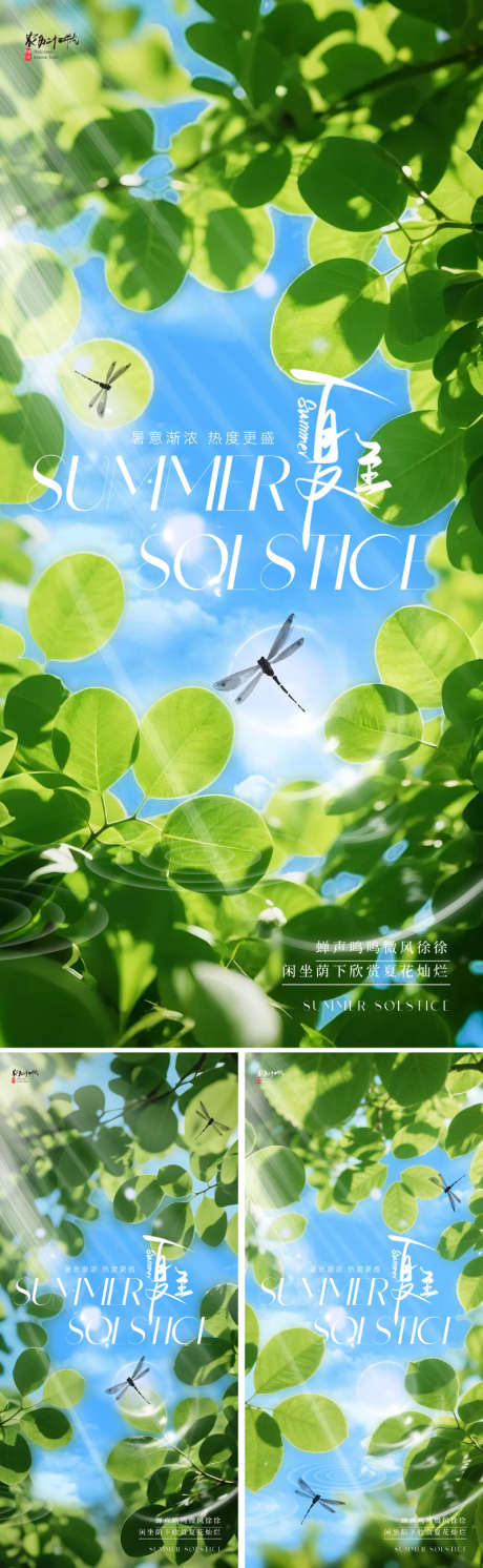 地产美业夏至节气海报_源文件下载_PSD格式_800X2595像素-艺术,书法字,简约-作品编号:2025052314152078-志设-zs9.com