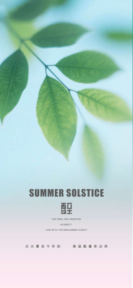 夏至节气海报_源文件下载_PSD格式_1080X2333像素-节日,盛夏,夏天-作品编号:2025052315478861-志设-zs9.com