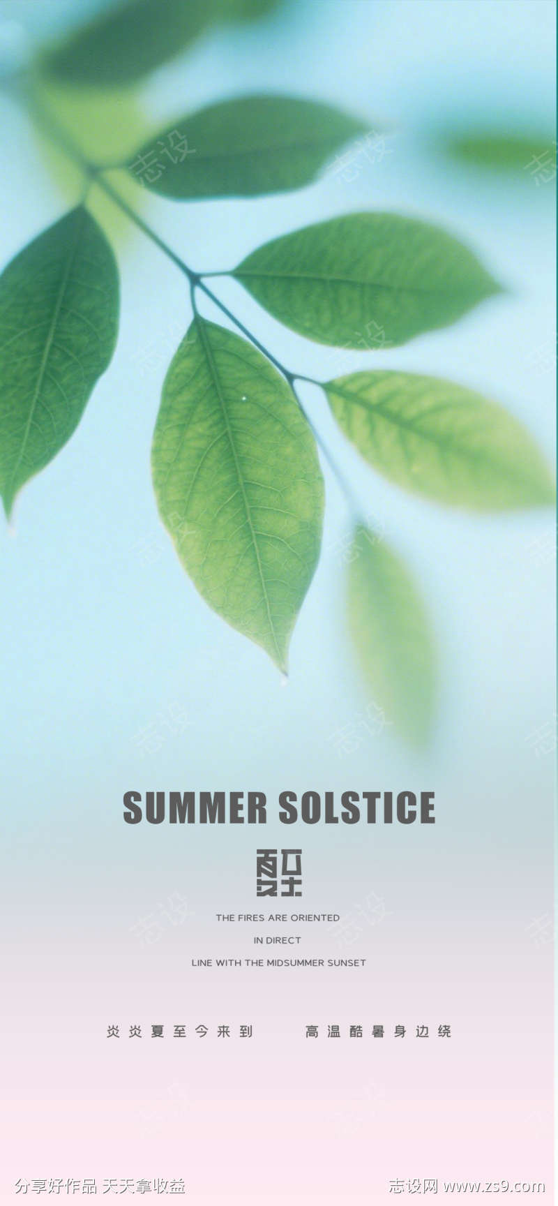 夏至节气海报
