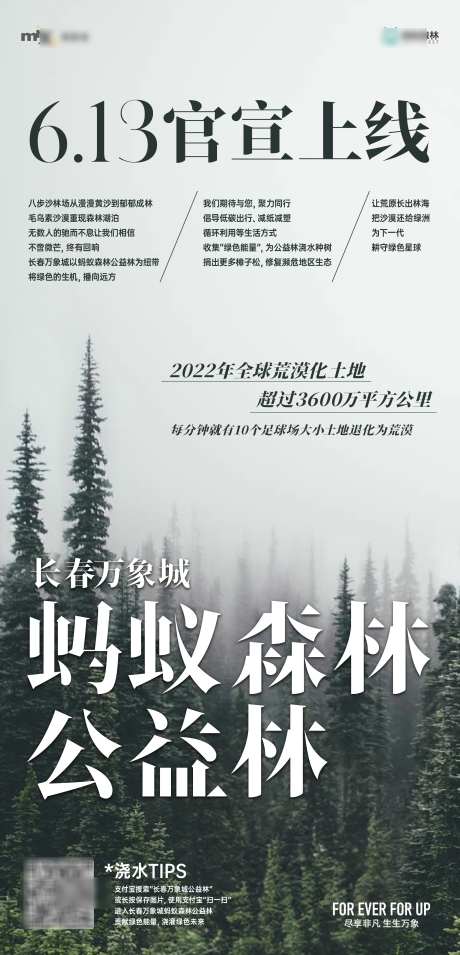 蚂蚁森林上线_源文件下载_AI,PSD格式_2817X5846像素-简约,创意,上线-作品编号:2025052513235745-志设-zs9.com