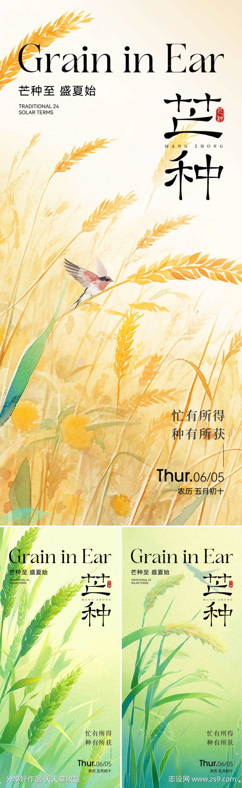 芒种插画系列海报