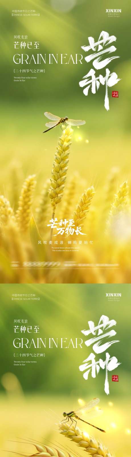 芒种节气海报_源文件下载_PSD格式_1080X4659像素-芒种,二十四节气,24节气-作品编号:2025052609141435-志设-zs9.com