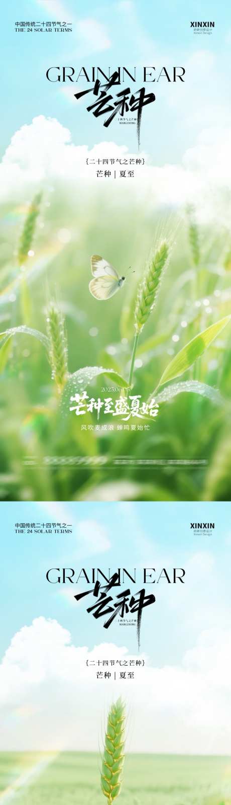 芒种清新海报_源文件下载_PSD格式_1080X4680像素-清新,丰收,小麦-作品编号:2025052609217379-志设-zs9.com