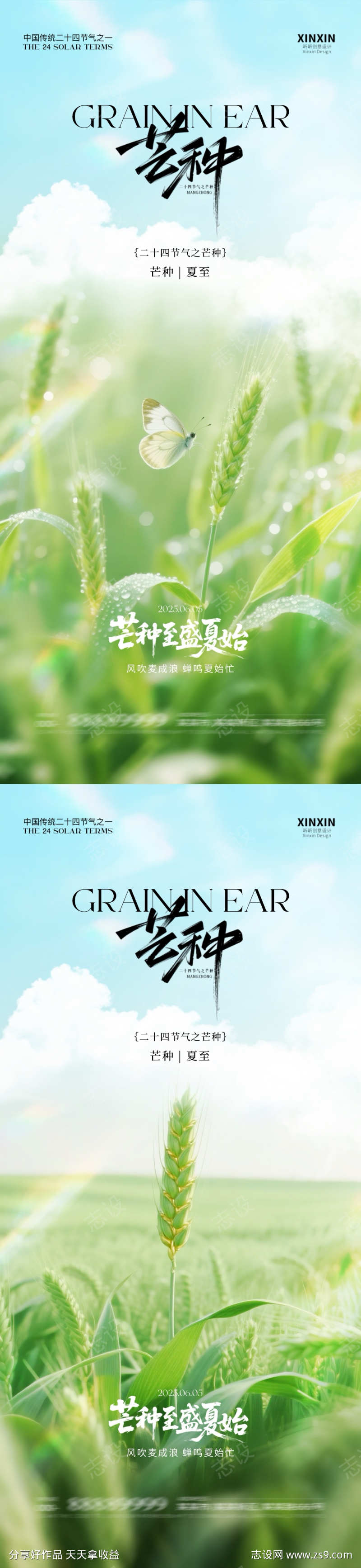 芒种清新海报